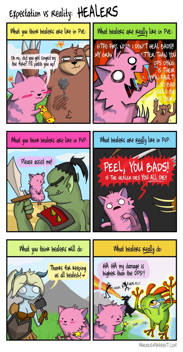 Expectation VS Reality - Healers